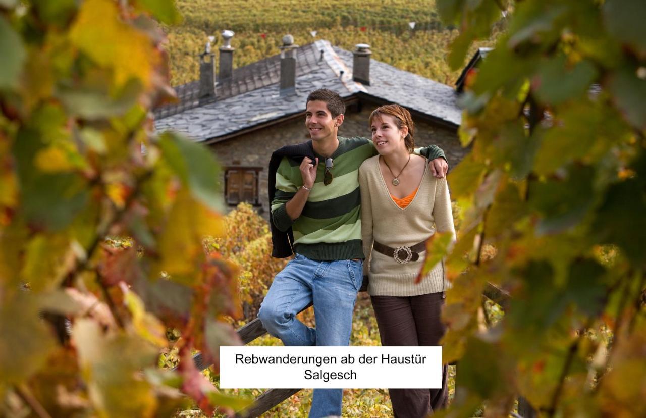 Bnb Vino Veritas Salgesch Екстериор снимка